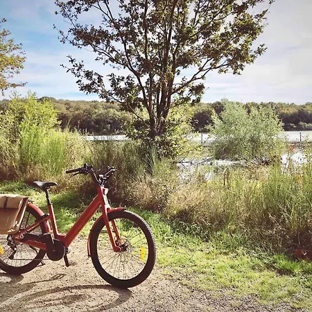 Bed & Breakfast Couvent Des Cordelieres Option Vezins